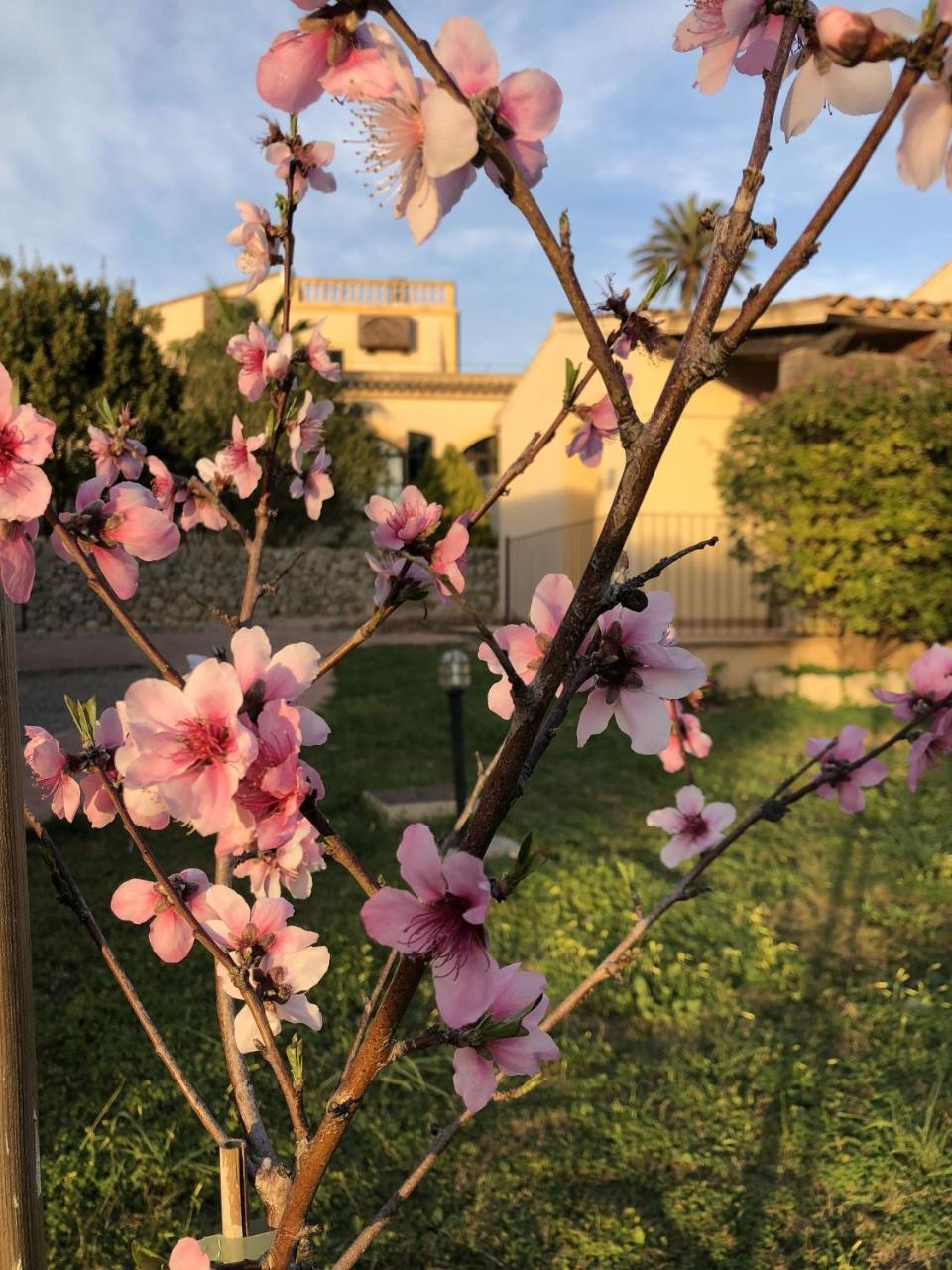 Finca Son Manera Montuiri  Екстериор снимка